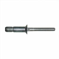 Gesipa Mega Grip Rivets, RV6100-8-7 Blind Rivet: 1/4 Inch, (.250 Inch), (.125-.437 Inch Grip), Cou